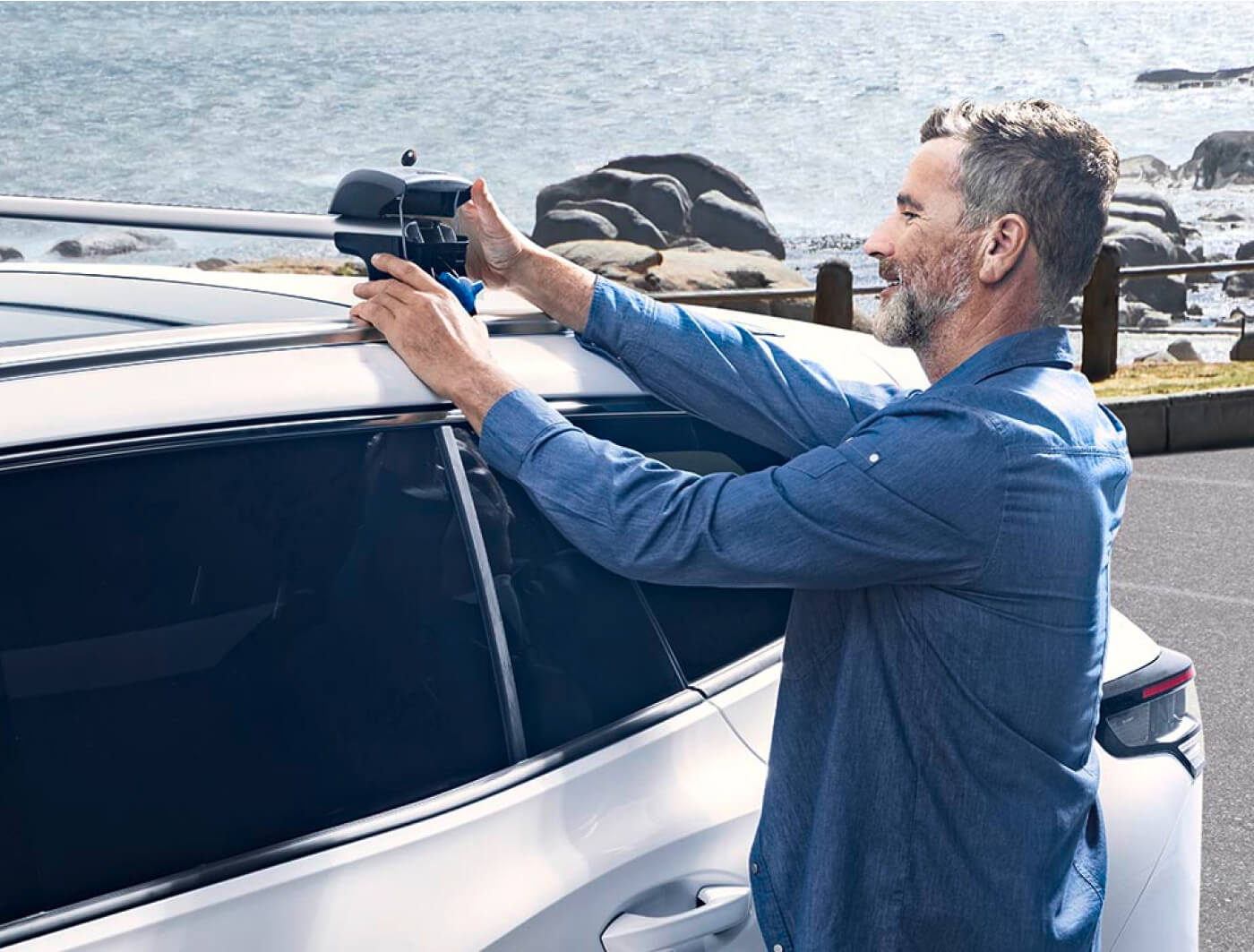 Volkswagen Genuine Roof Bars